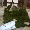 Jaslice 2010_008